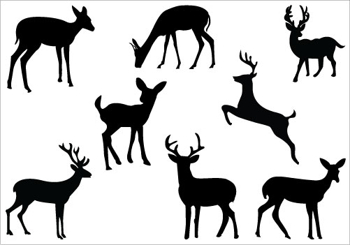 Free clip art deer