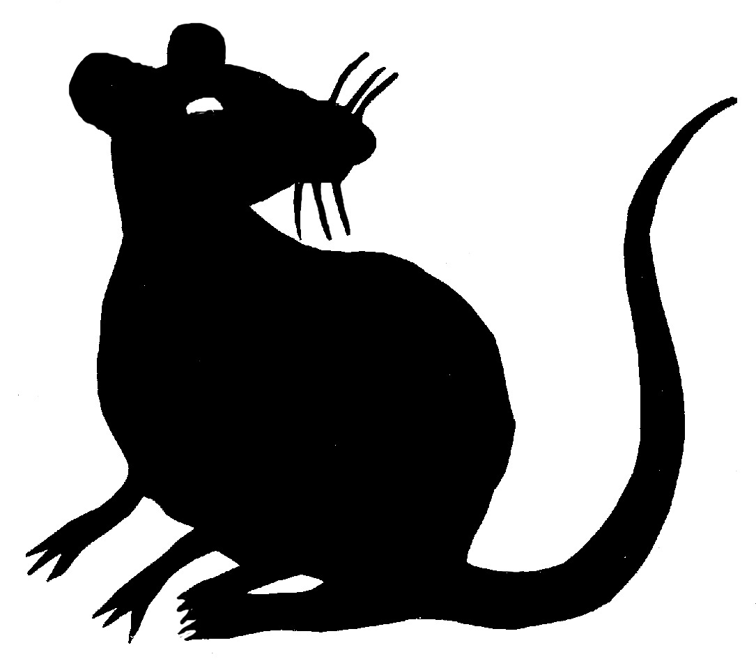 Black rat clipart