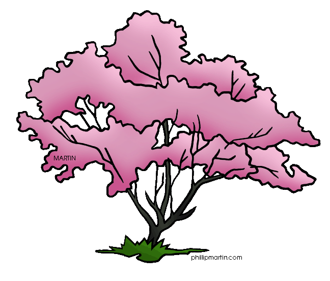 Pink Dogwood Flower Clip Art – Clipart Free Download