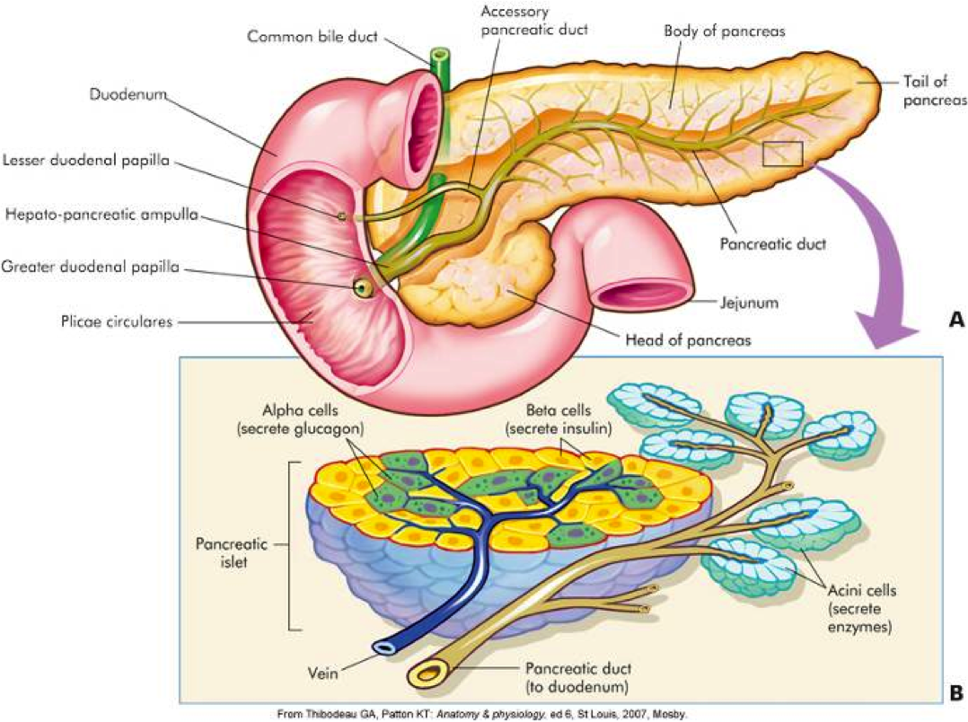 1000+ images about MCAT prep | Note, Organic ...