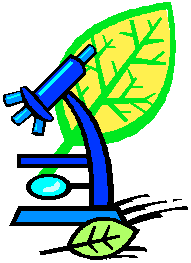 Science Clip Art For Children - Free Clipart Images