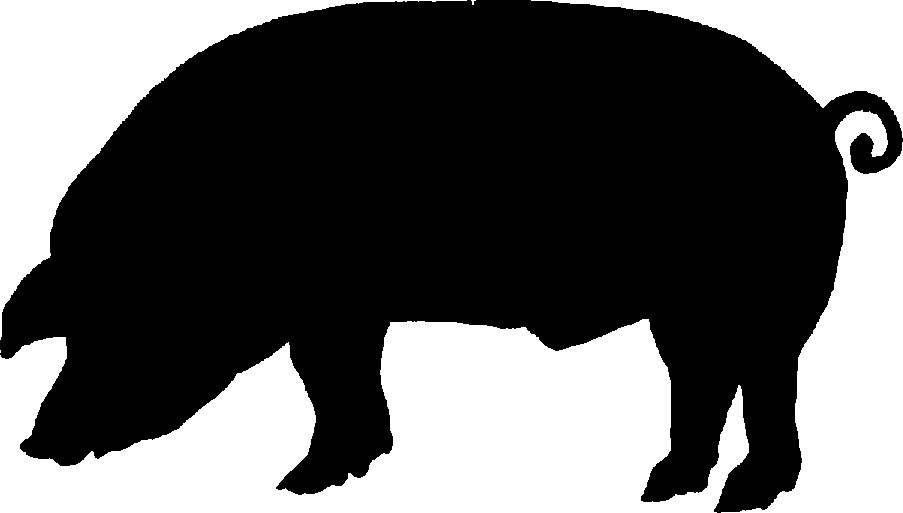 Black And White Pig Clipart