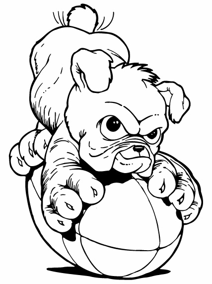 Bulldog Puppy Drawing English Bulldog Drawinghow To Draw A Bulldog ...