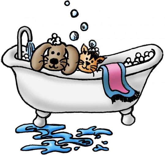 Dog Cat Grooming Clipart