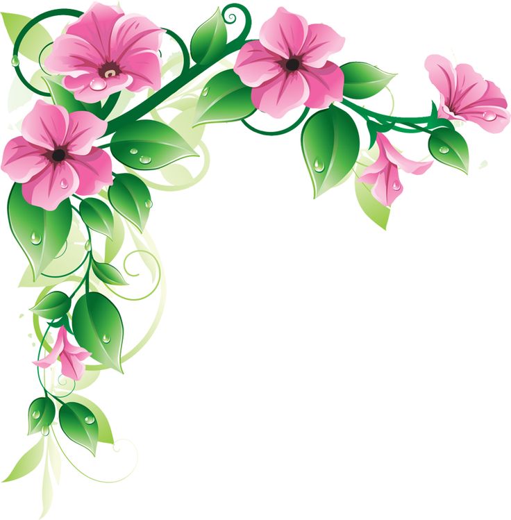 Beautiful Flowers Borders Clipart