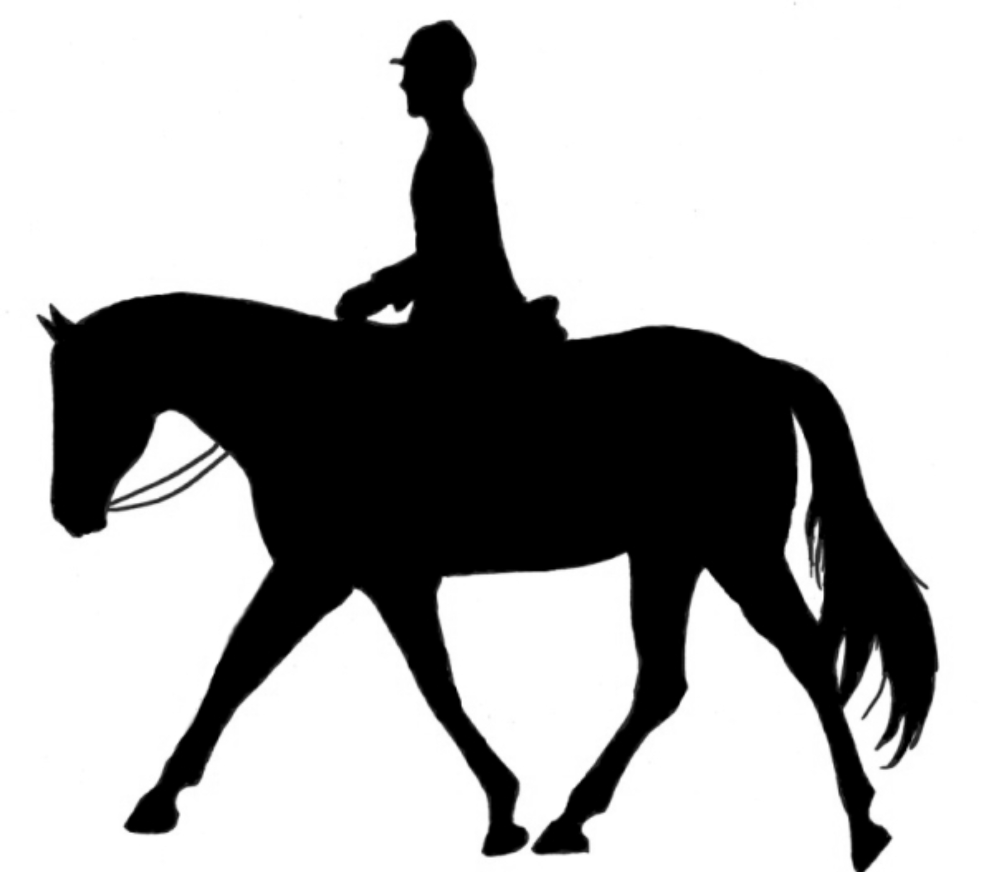 Horse jumping with girl rider clipart