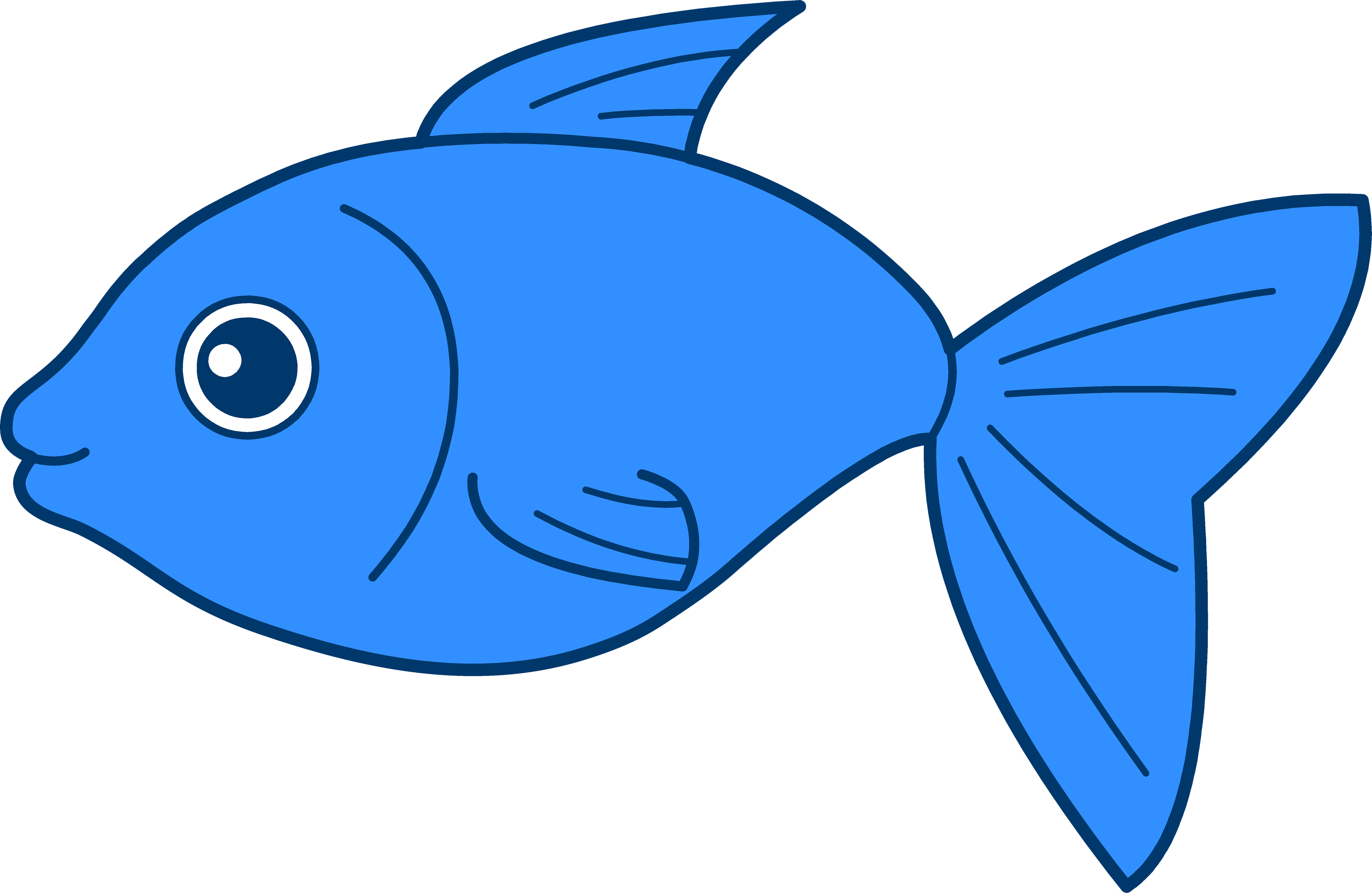 Fish PNG image, free download