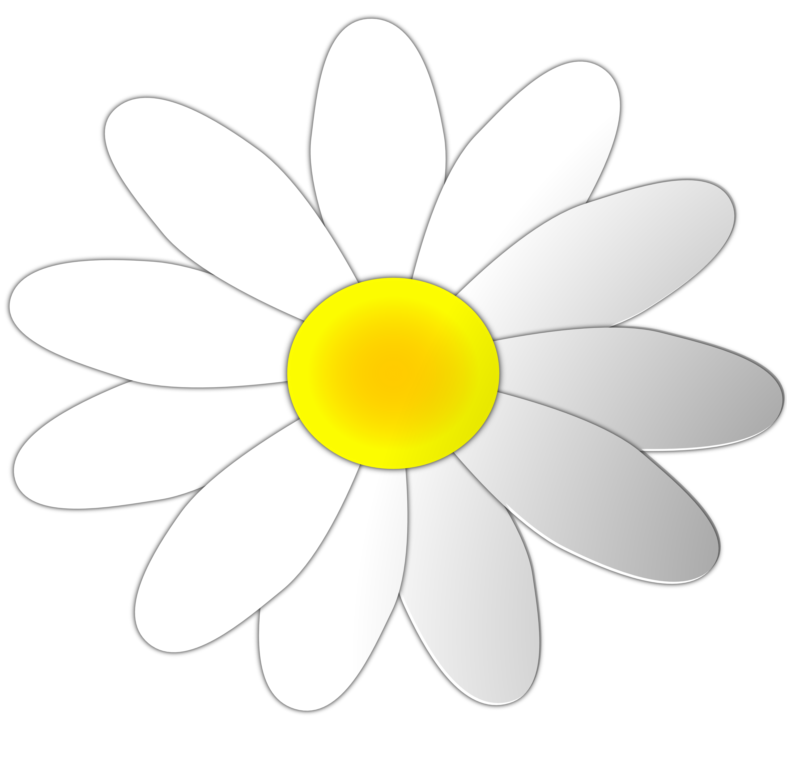 Daisy clip art at vector clip art free clipartcow - Clipartix