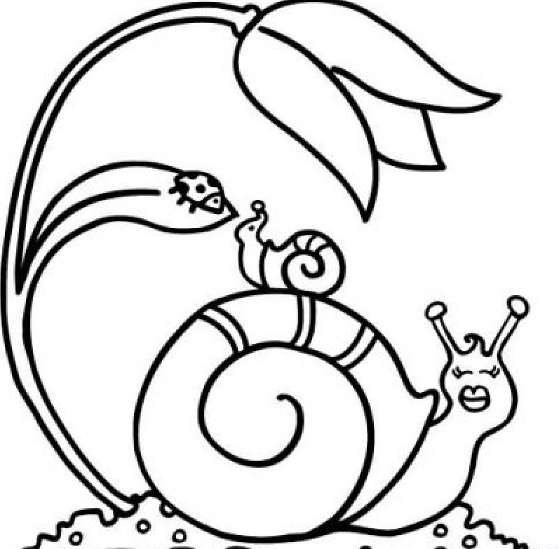 snail coloring pages (1) Â« funnycrafts