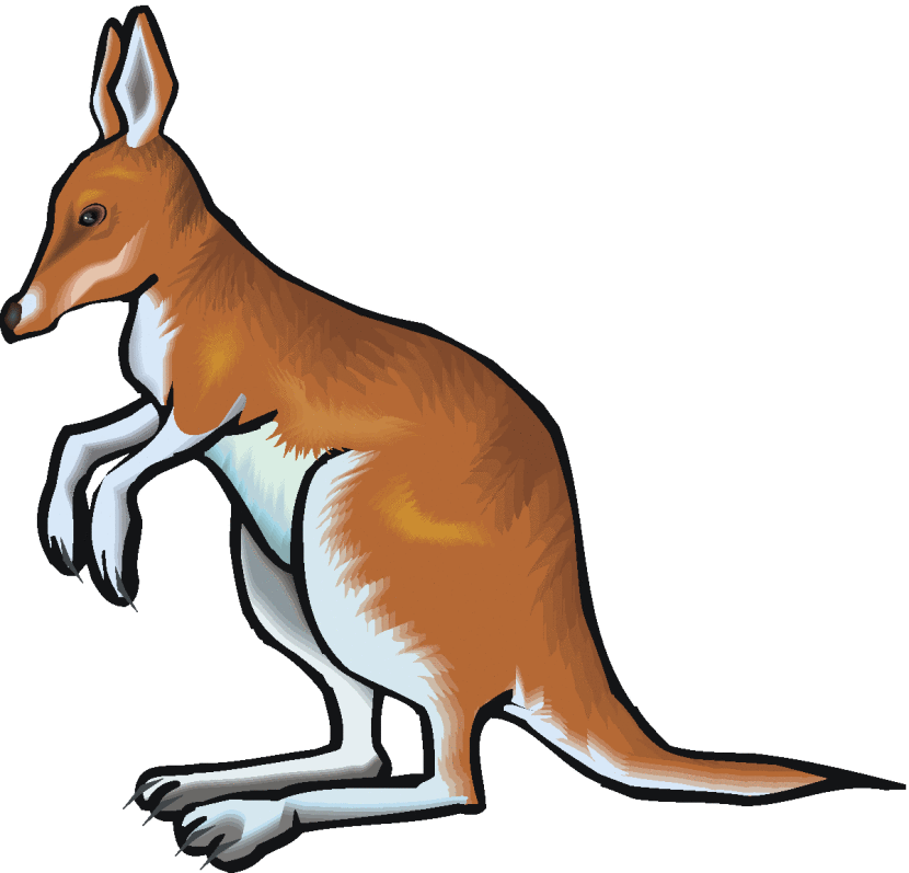 Kangaroo Clipart - Clipartion.com