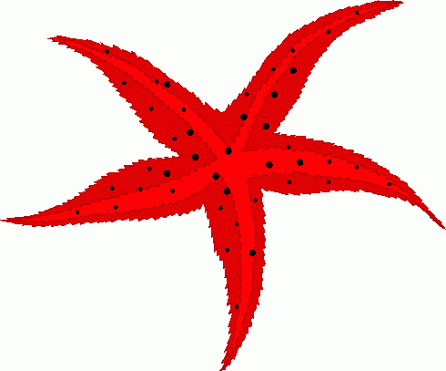 Sea Star Clipart - Tumundografico