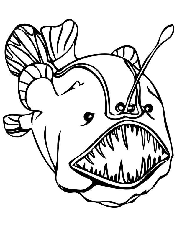 Deep Sea Creatures Coloring Pages | coloring Pages | Pinterest ...