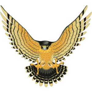 Eagle clip art - vector clip art online, royalty free & publ ...