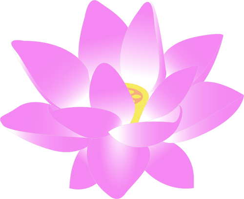 Indian Lotus vector illustration | Public domain vectors