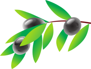 olive-branch-md.png - ClipArt Best - ClipArt Best