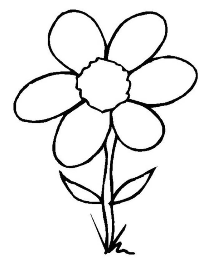 Simple Flower Outline #6031