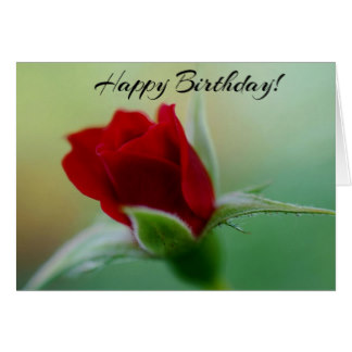 Red Rose Birthday Note Cards | Zazzle