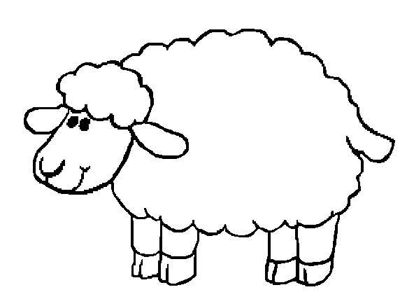 1000+ images about tekening schaap, koe