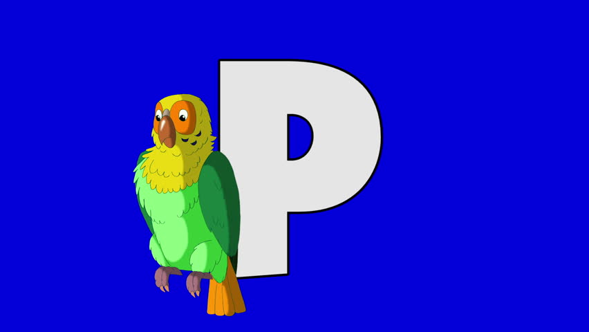 Parrot. English ZOO Alphabet - Letter P Animation English ZOO ...