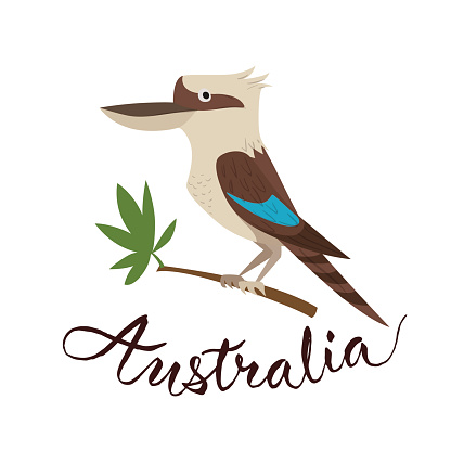 Kookaburra Clip Art, Vector Images & Illustrations