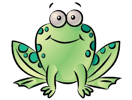 1000+ images about Frogs