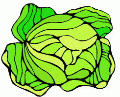 Lettuce Clipart