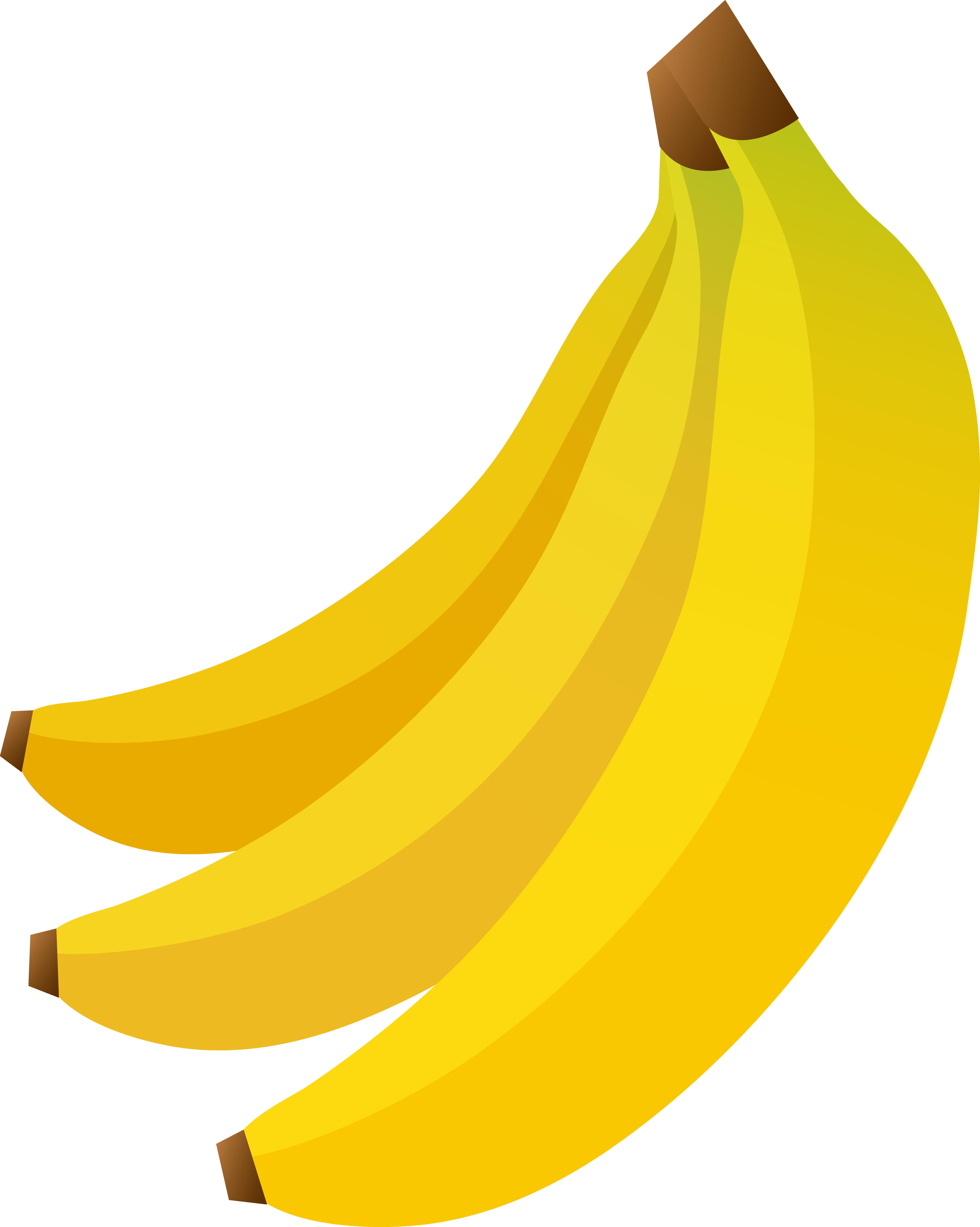 Fruit clipart png