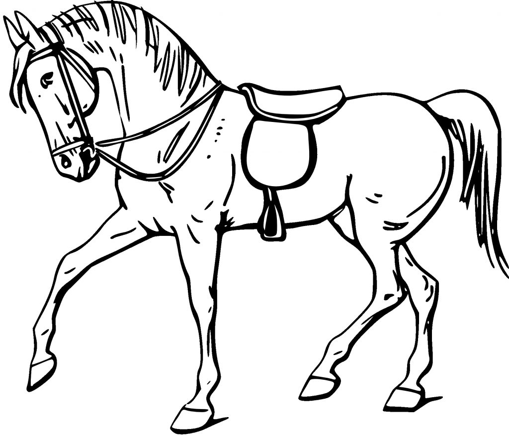 Coloring Book Horse Pictures - any coloring pages