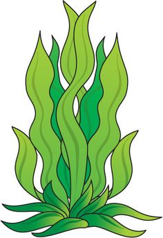 Seaweed Clipart - Free Clipart Images