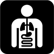 Radiology Symbols Clipart - Free to use Clip Art Resource