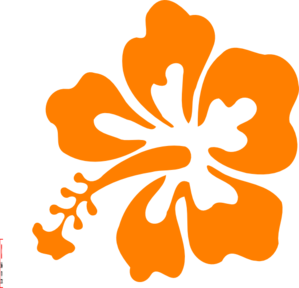 Orange hawaiian flower clipart