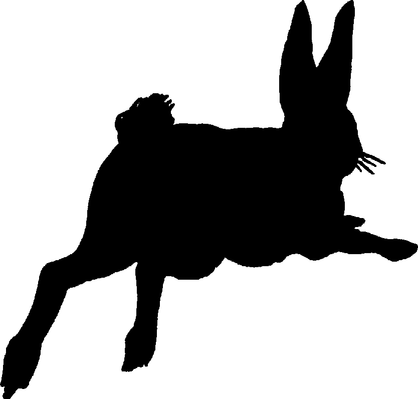 Images Rabbit | Free Download Clip Art | Free Clip Art | on ...