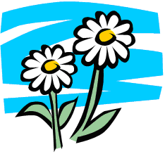 Clipart Daisy