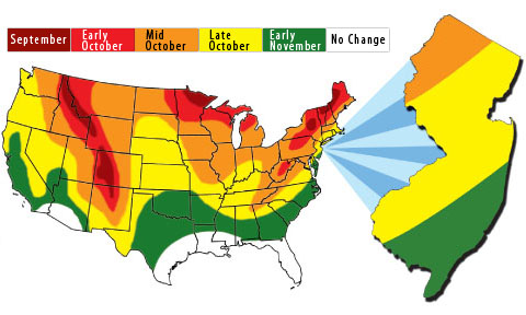 NJDEP New Jersey Department of Environmental Protection