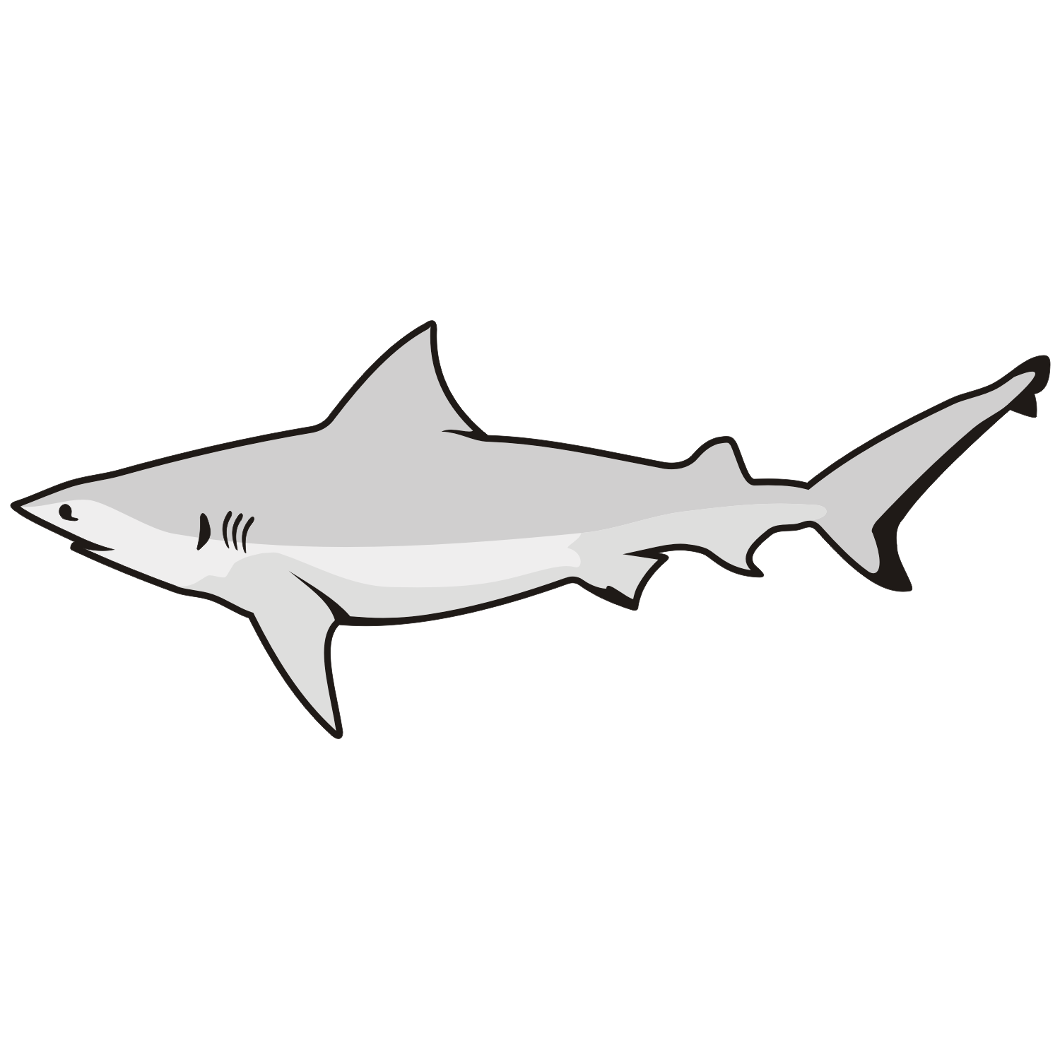 Great white shark line art clipart