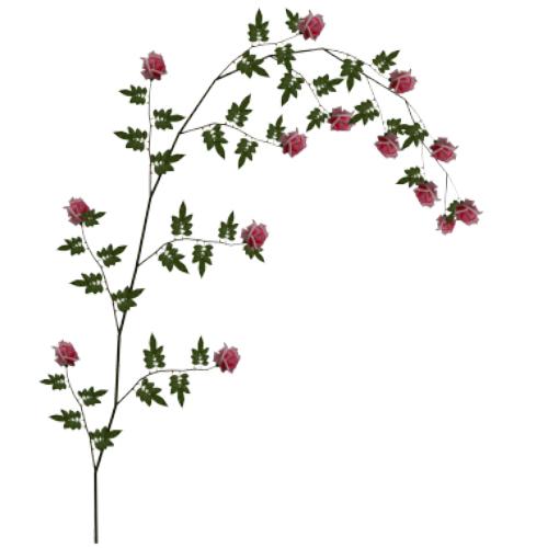 40+ Rose Vines Clipart