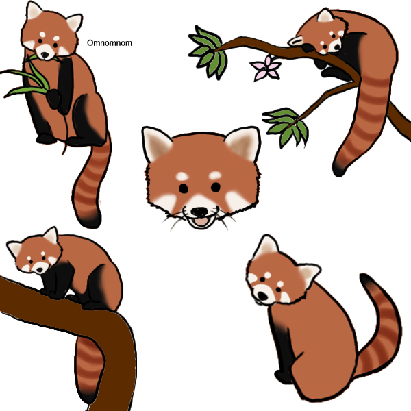 Red Panda Clip Art - Free Clipart Images