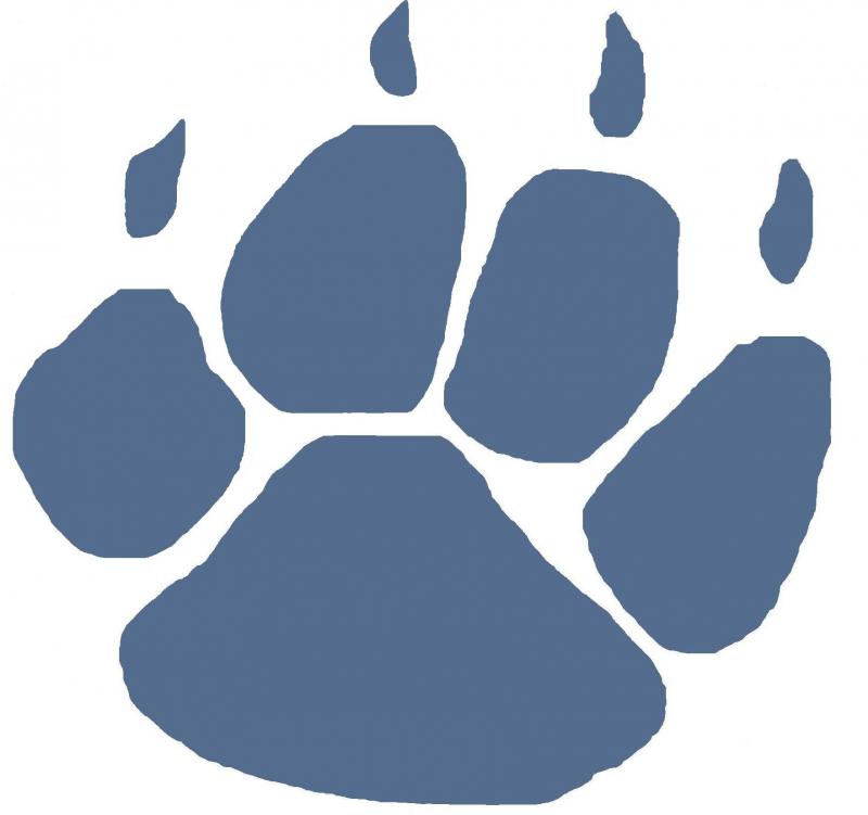 Paw Print Art