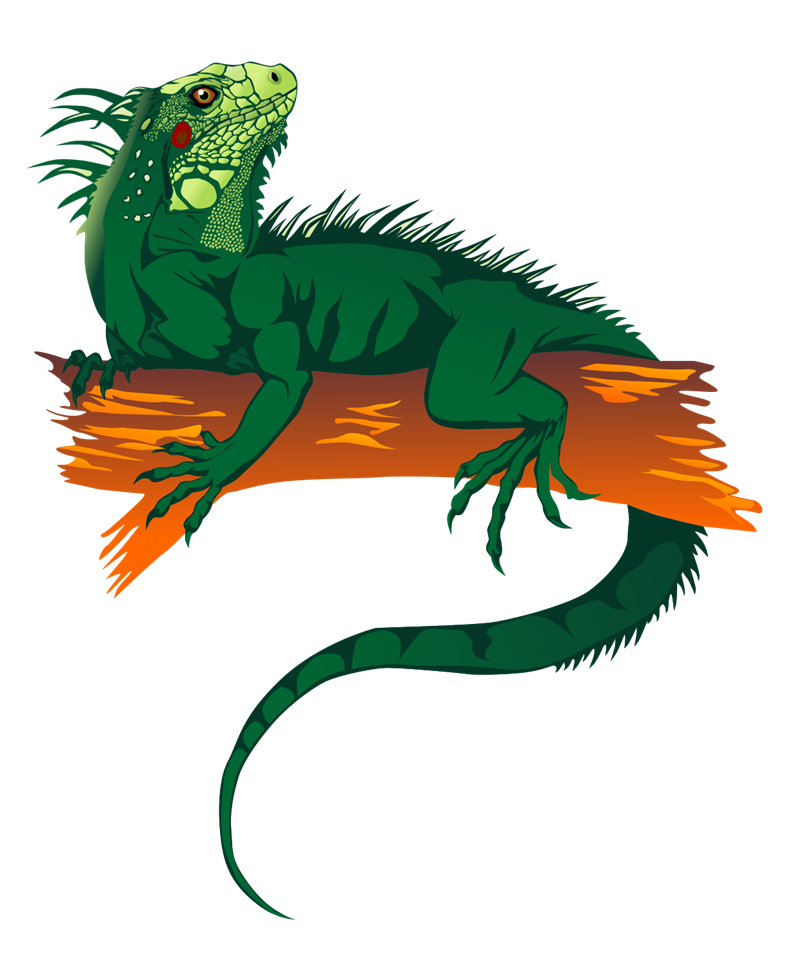 Iguana Clipart Black And White - Free Clipart Images