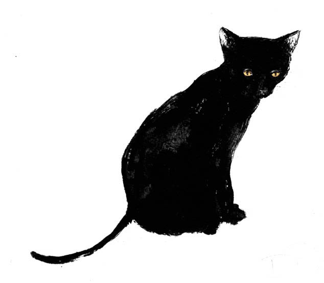 Black Cat Illustrations