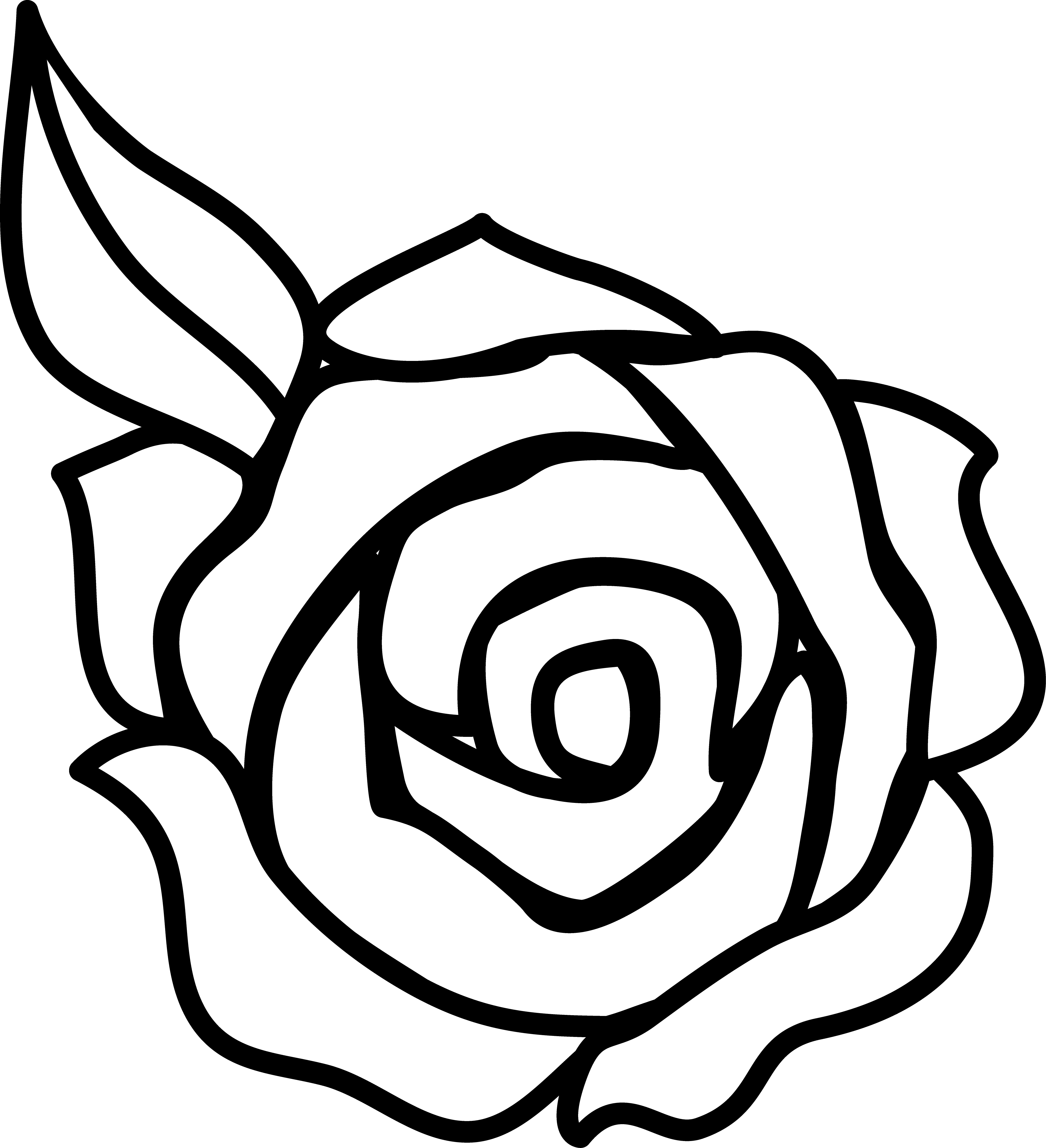 Black And White Rose Drawings