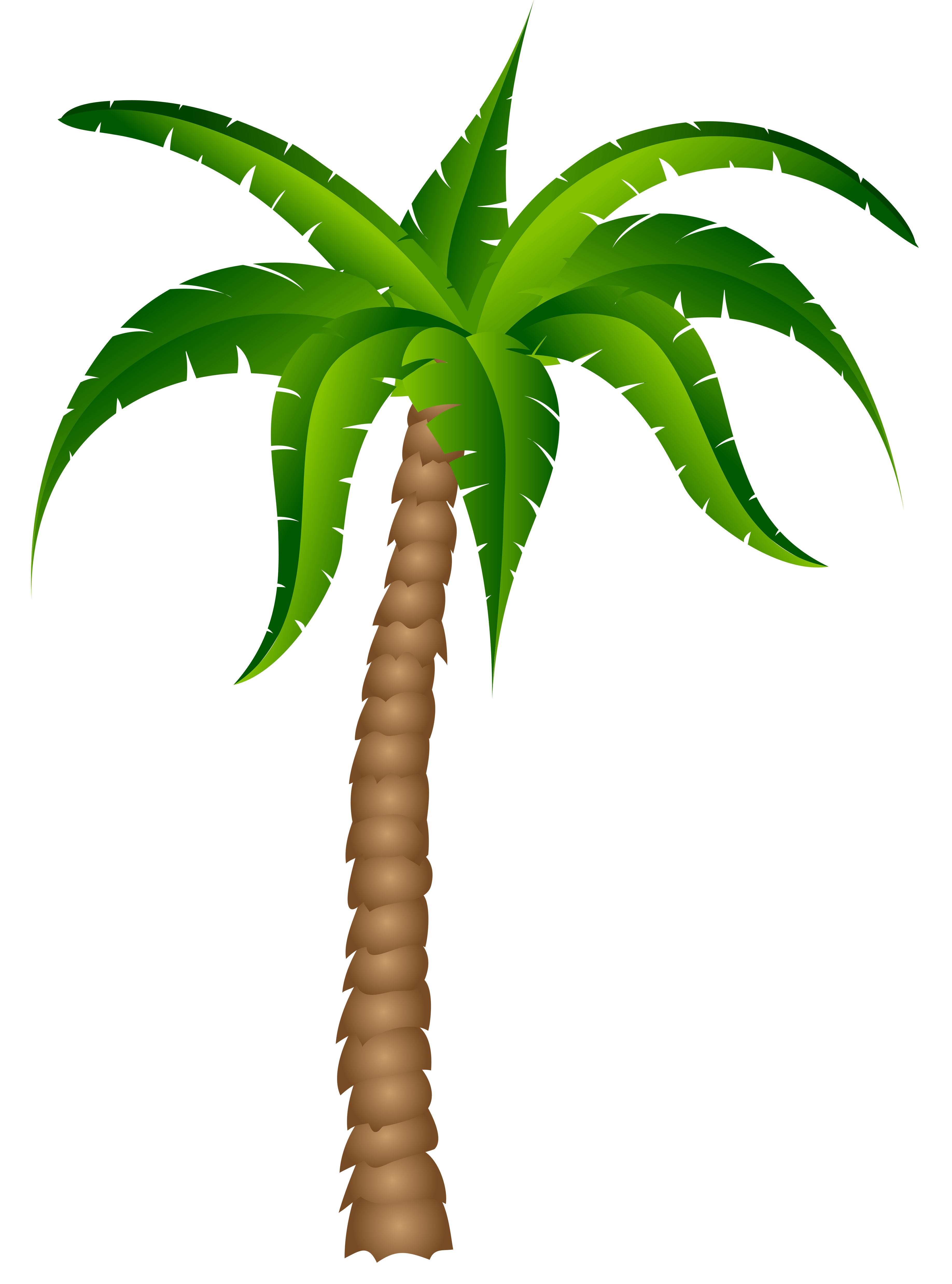 Cartoon palm tree clipart transparent