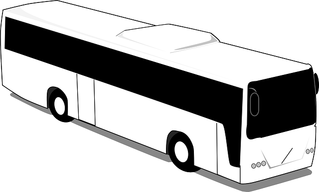 BLACK, OUTLINE, SILHOUETTE, TRIP, WHITE, CARTOON, BUS - Public ...