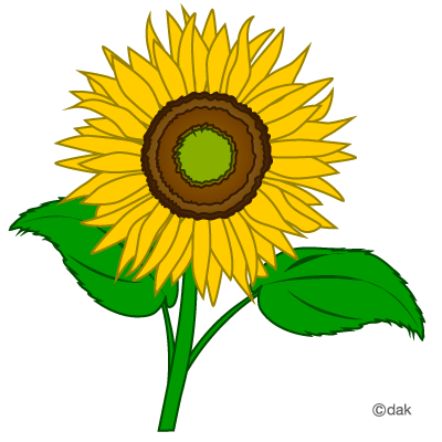 Sunflower clipart free