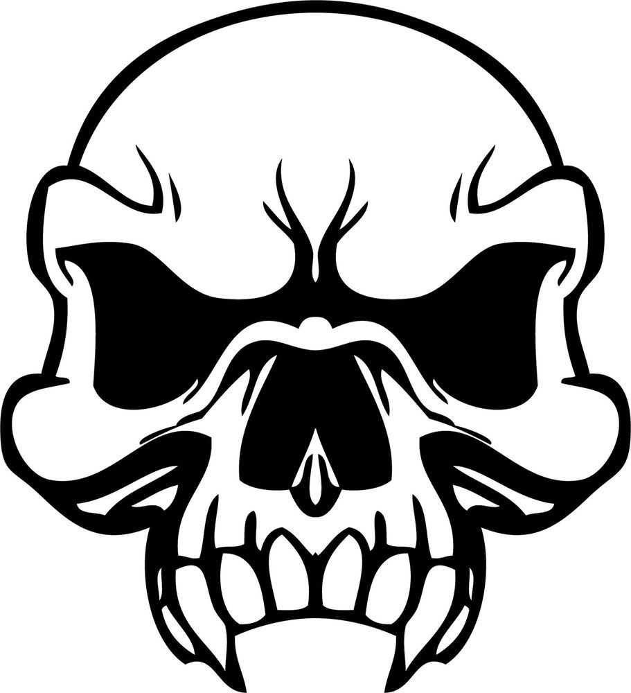 skull and bones pictures