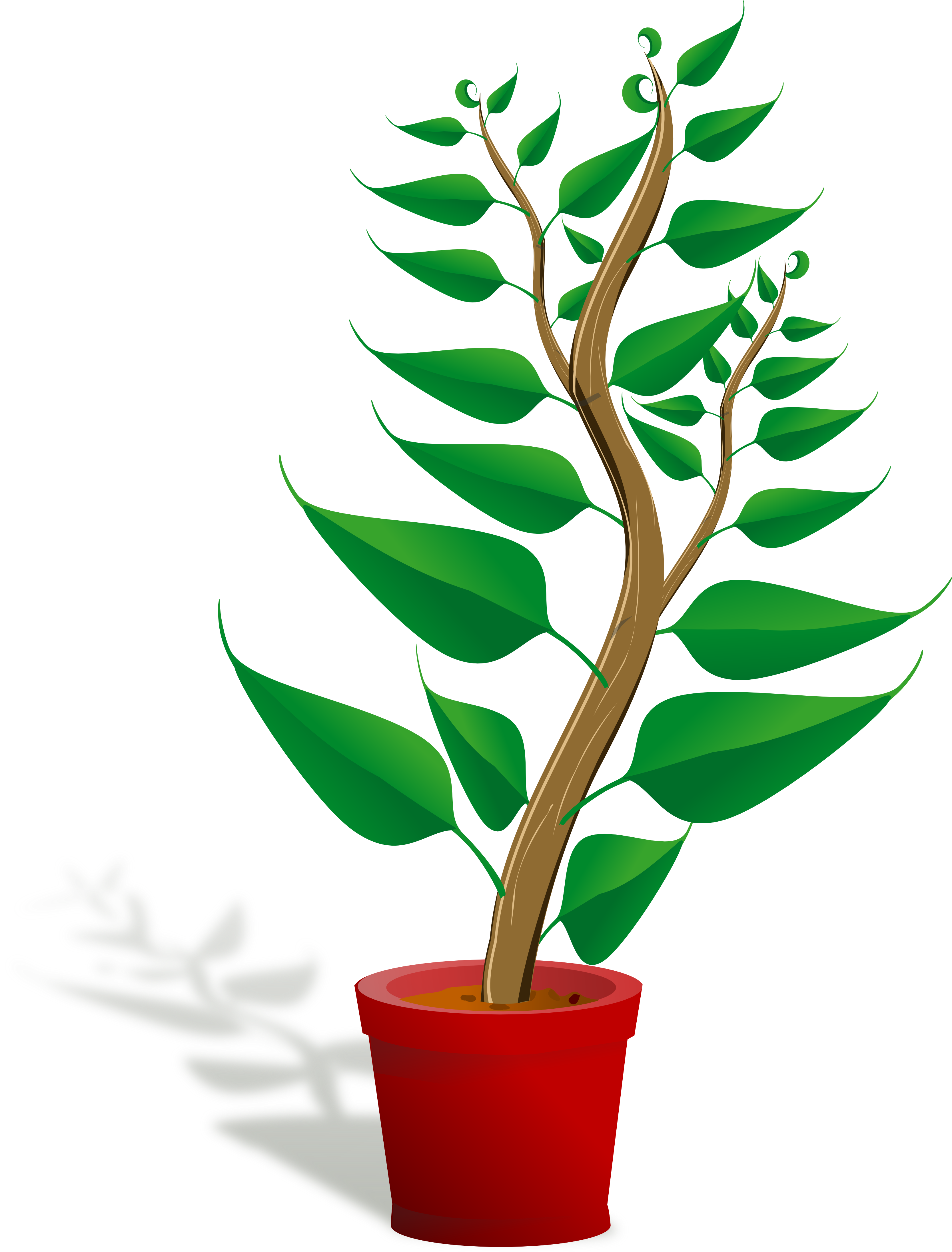 Dark Green Plants Clip Art – Clipart Free Download