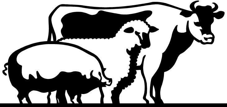 Livestock Clipart | Free Download Clip Art | Free Clip Art | on ...