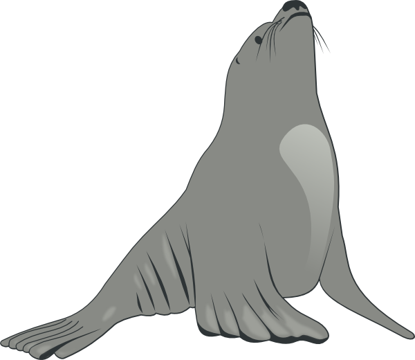 Valessiobrito Sea Lion clip art Free Vector / 4Vector