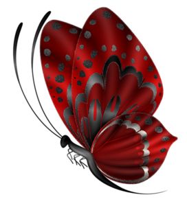 Beautiful, Red butterfly and Butterflies