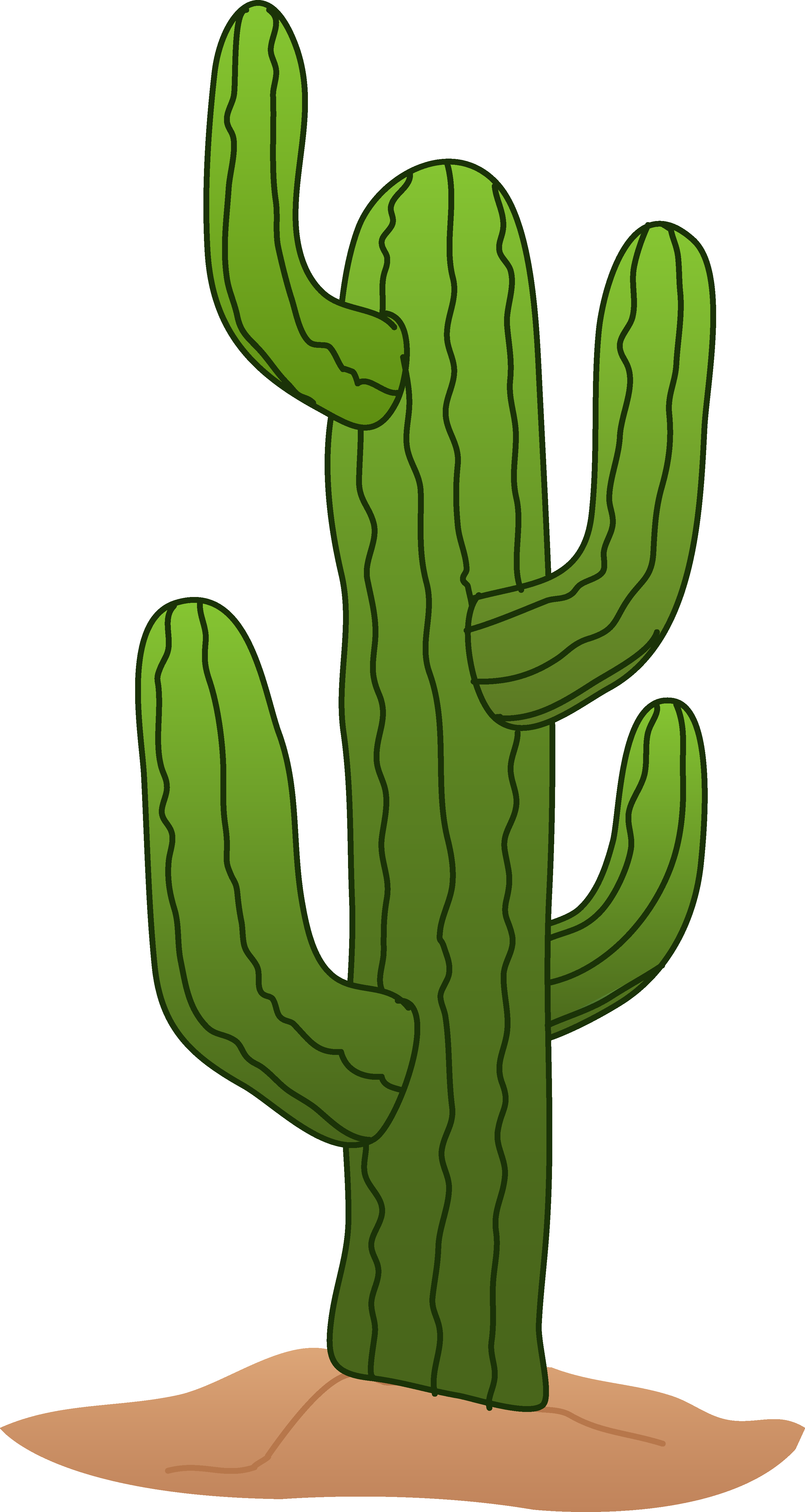 Cactus Images Free